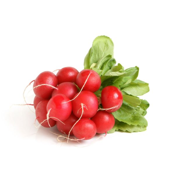 Organic Radish Bunch
