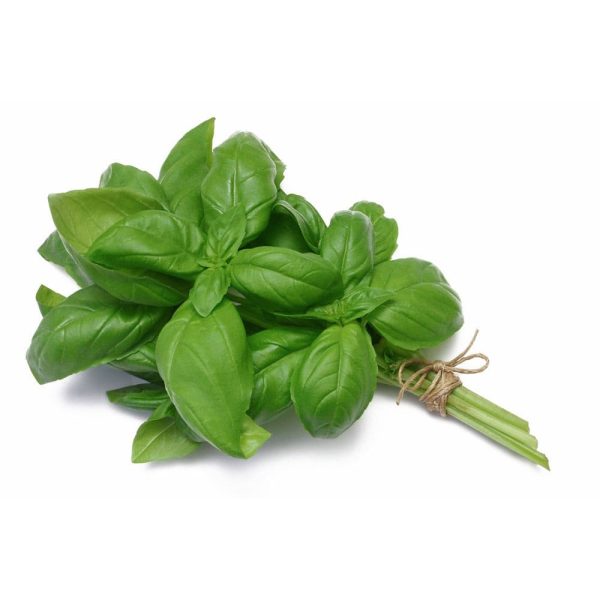 Albahaca Acuapónica Manojo ECO