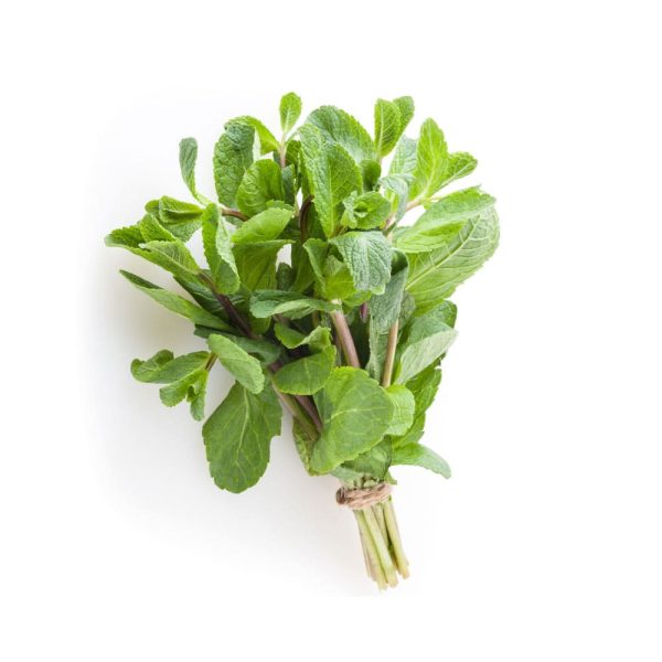 Menta Acuapónica Manojo ECO