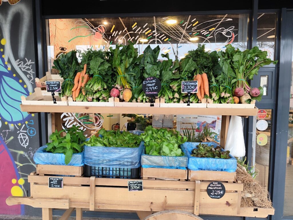 Frutas y verduras ecológicas