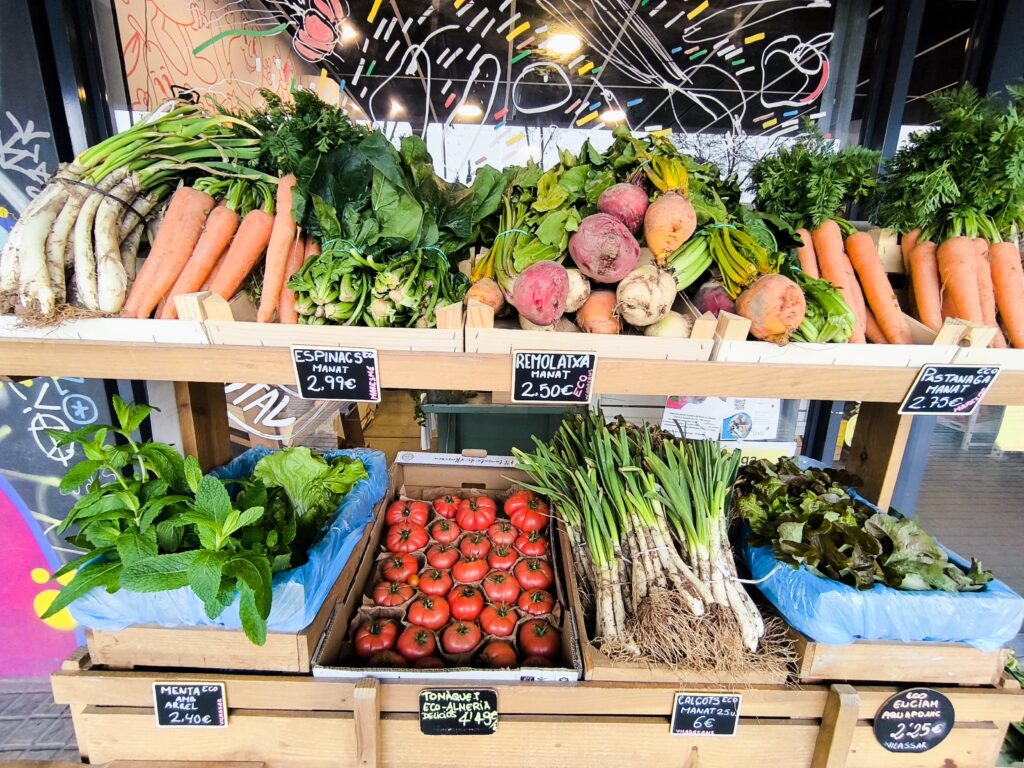 productos ecológicos